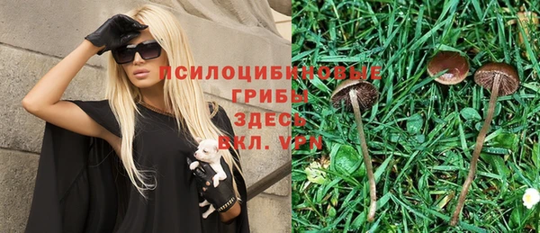 твердый Медвежьегорск